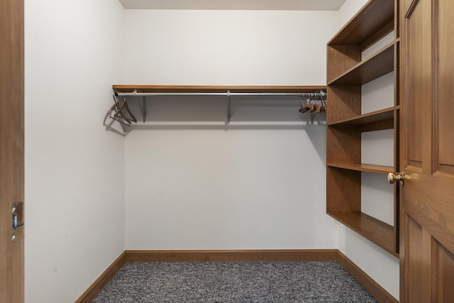 spacious closet featuring carpet flooring