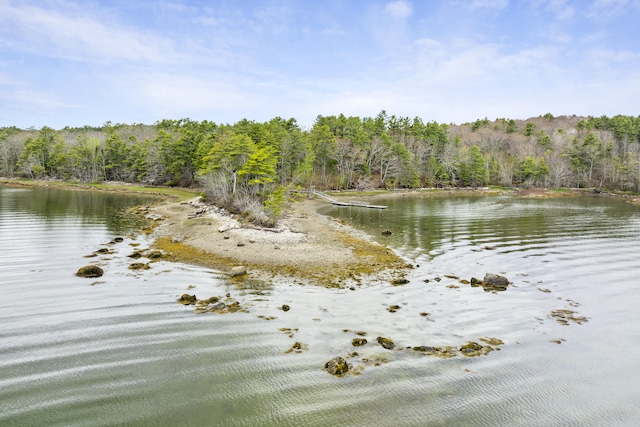 water view with a forest