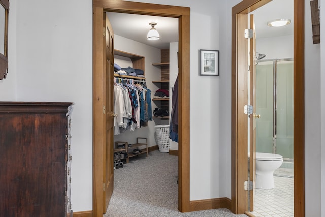 walk in closet with carpet flooring