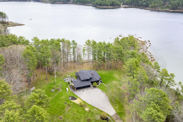 bird's eye view of a large body of water