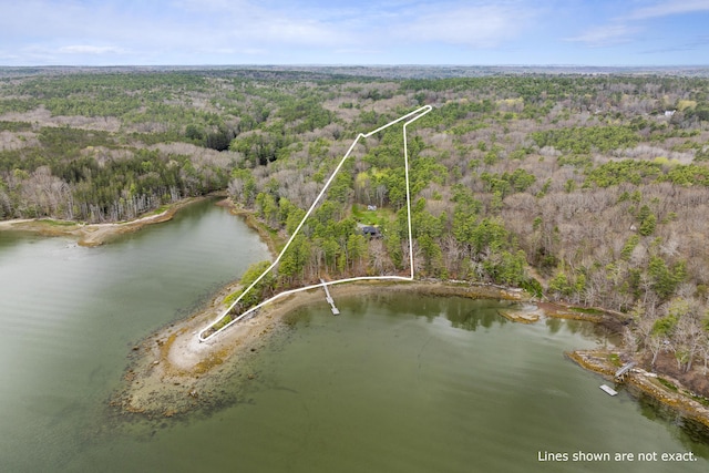 aerial view of a forest and a nearby body of water