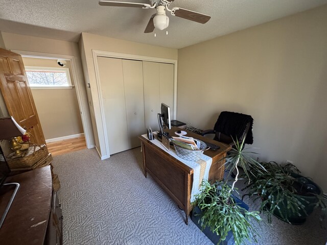 43 Webb River Dr, Dixfield, ME 04224 - office space with a ceiling fan, light colored carpet, and a textured ceiling