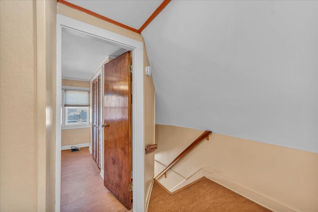 stairway featuring crown molding, baseboards, and carpet