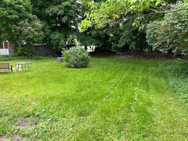 view of yard