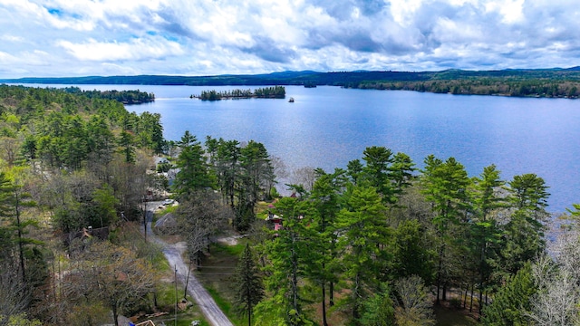 124 Alpine Village Rd, Harrison, ME 04040 - water view with a heavily wooded area