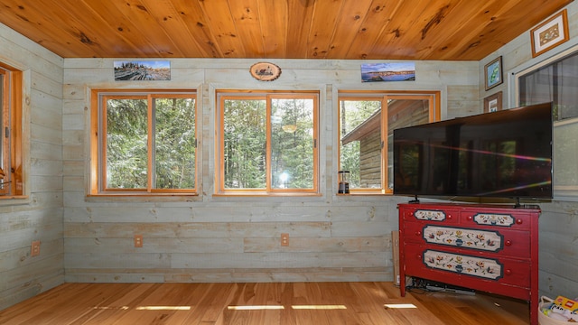 124 Alpine Village Rd, Harrison, ME 04040 - interior space with wood ceiling, wood finished floors, and wooden walls