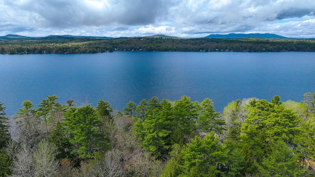124 Alpine Village Rd, Harrison, ME 04040 - water view with a heavily wooded area and mountains