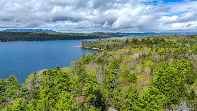124 Alpine Village Rd, Harrison, ME 04040 - water view with a forest and mountains