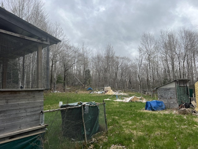173 Ham Dr, Springfield, ME 04487 - view of grassy yard featuring a storage shed and an outdoor structure