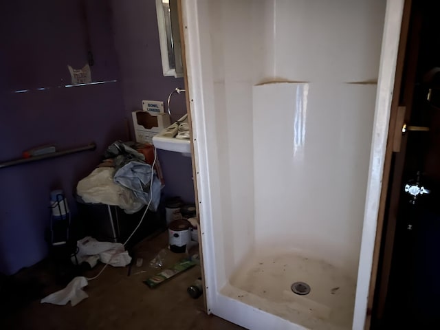 173 Ham Dr, Springfield, ME 04487 - bathroom featuring a stall shower