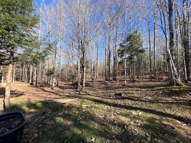 173 Ham Dr, Springfield, ME 04487 - view of yard