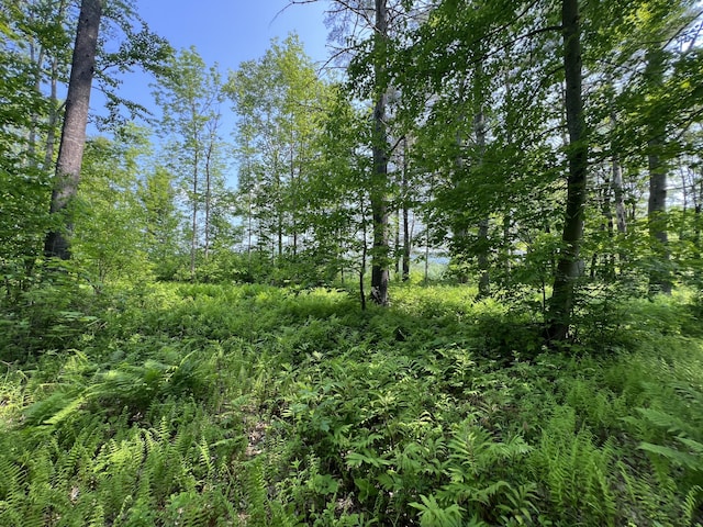 LOT19A Intervale Rd, Bethel, ME 04217 - photo 1