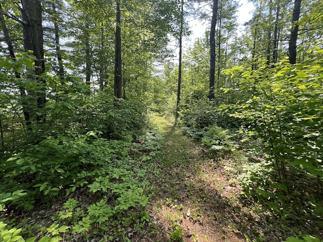 LOT19A Intervale Rd, Bethel, ME 04217 - photo 2