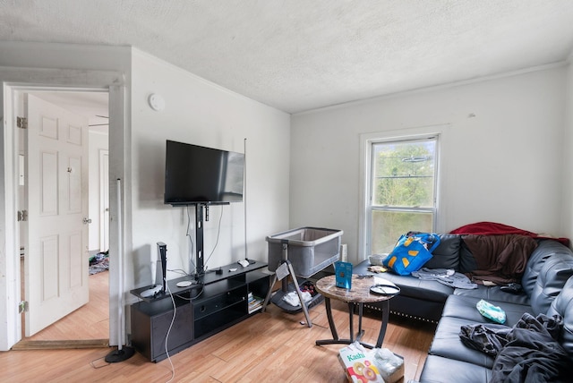 14 N St, Augusta, ME 04330 - living room with light wood-style flooring, a textured ceiling, and crown molding