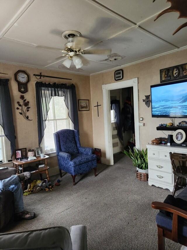 carpeted living room with a ceiling fan and crown molding