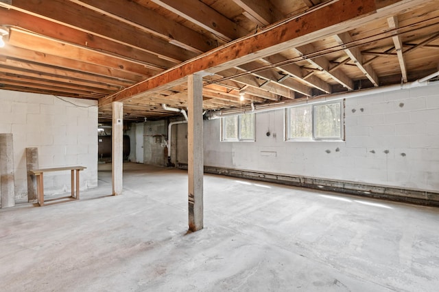 basement with heating fuel