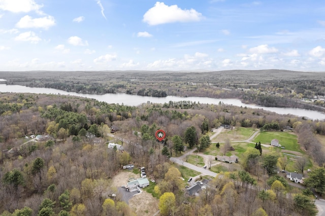 aerial view of property's location with a large body of water and a heavily wooded area