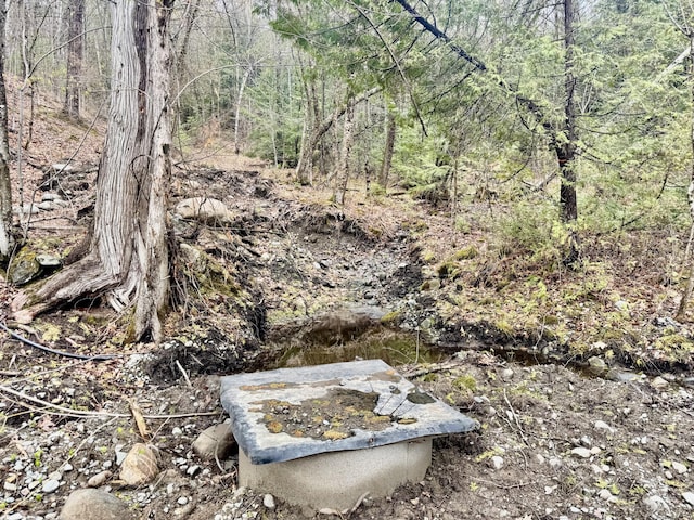 1429 Canada Rd, Moscow, ME 04920 - view of wooded area
