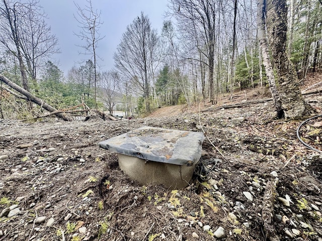 1429 Canada Rd, Moscow, ME 04920 - view of yard