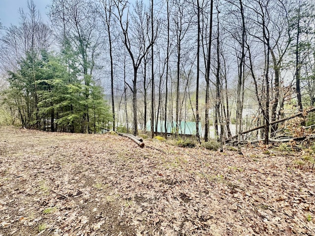 1429 Canada Rd, Moscow, ME 04920 - view of woods