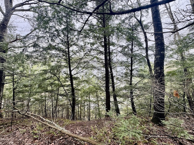 1429 Canada Rd, Moscow, ME 04920 - view of wooded area