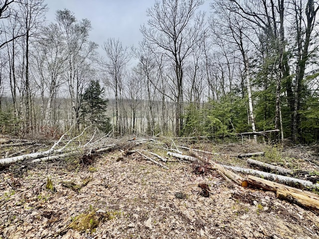 1429 Canada Rd, Moscow, ME 04920 - view of undeveloped land