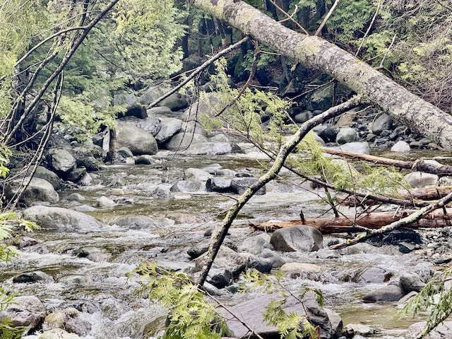 1429 Canada Rd, Moscow, ME 04920 - view of woods
