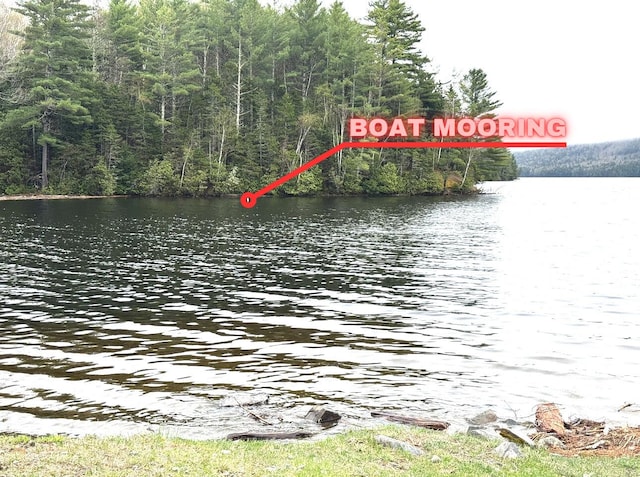 1429 Canada Rd, Moscow, ME 04920 - water view featuring a forest