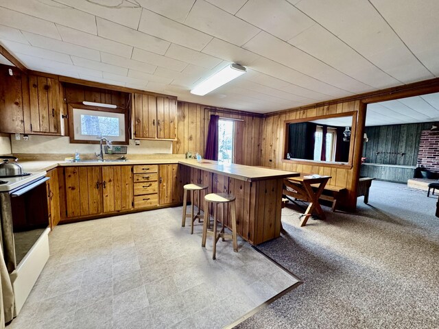1429 Canada Rd, Moscow, ME 04920 - kitchen featuring electric range, a peninsula, light countertops, brown cabinets, and wood walls