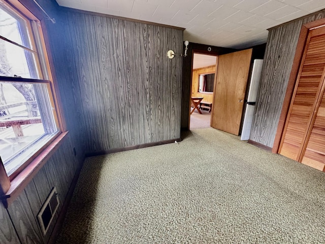 1429 Canada Rd, Moscow, ME 04920 - spare room with wood walls, plenty of natural light, and carpet