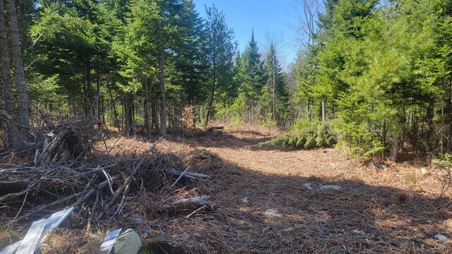 0 Chadbourne Rd, Harmony, ME 04942
