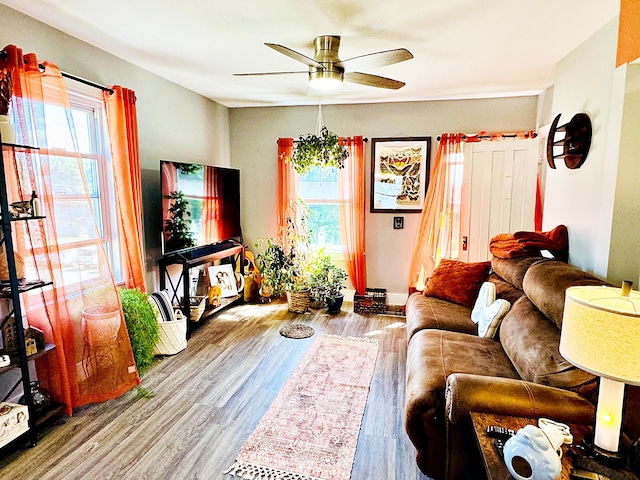 2 High St, Machias, ME 04654 - living area with healthy amount of natural light, wood finished floors, and a ceiling fan
