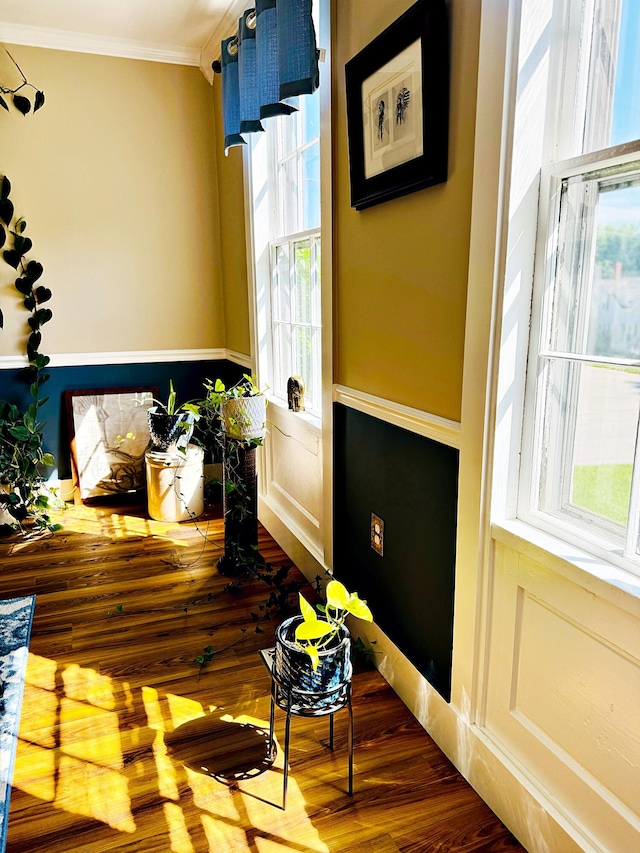 2 High St, Machias, ME 04654 - detailed view of ornamental molding and wood finished floors