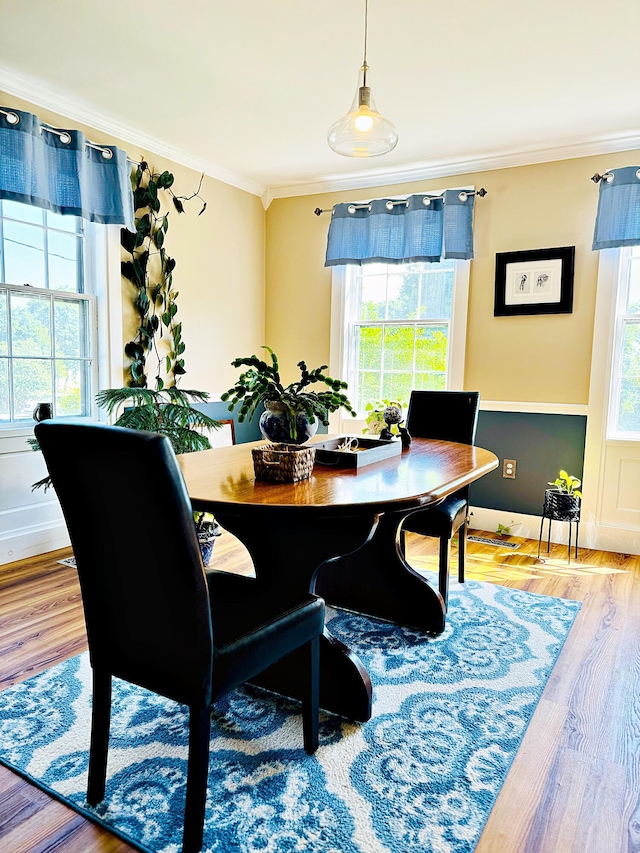 2 High St, Machias, ME 04654 - dining space with crown molding and wood finished floors