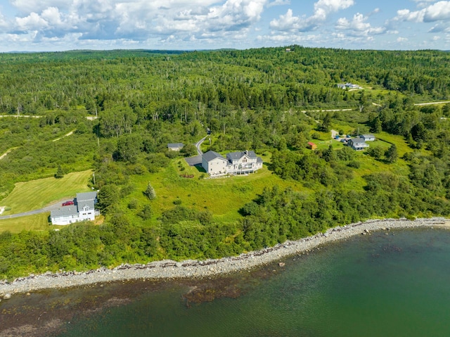 841 Cutler Rd, Machiasport, ME 04655 - photo 116