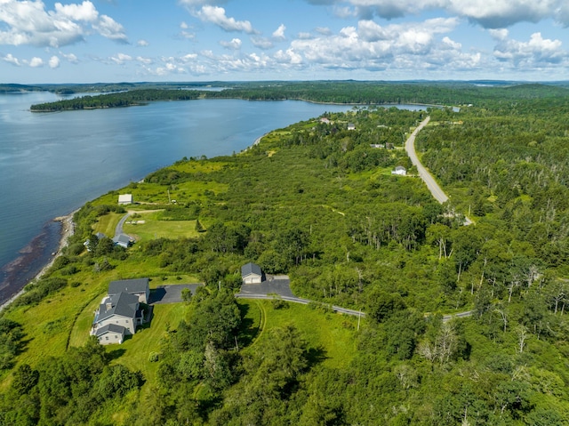 841 Cutler Rd, Machiasport, ME 04655 - photo 118