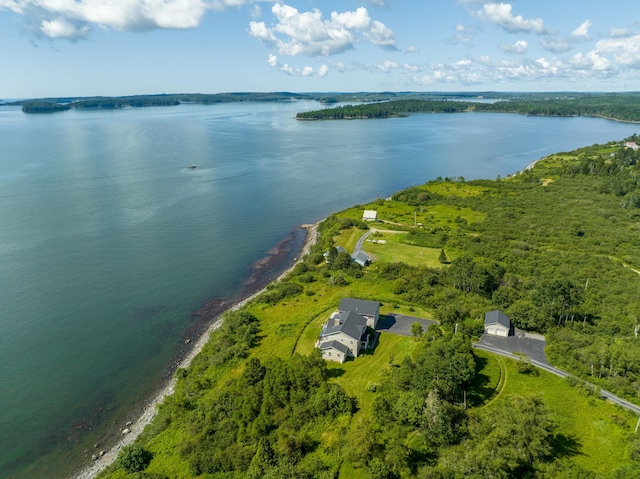 841 Cutler Rd, Machiasport, ME 04655 - photo 120