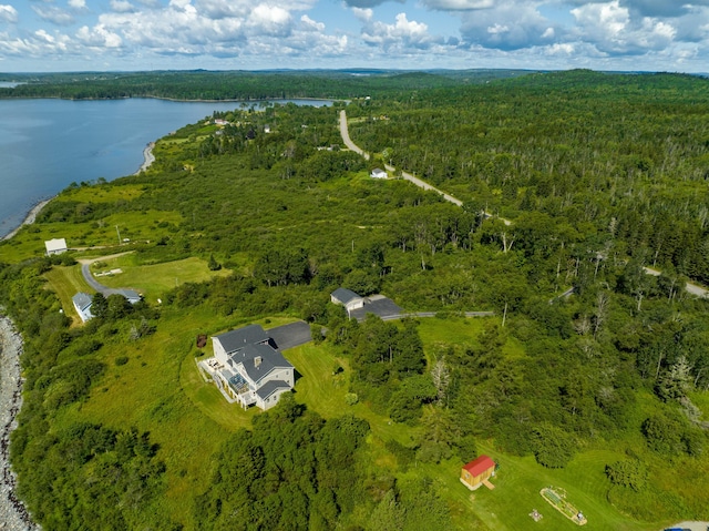 841 Cutler Rd, Machiasport, ME 04655 - photo 121