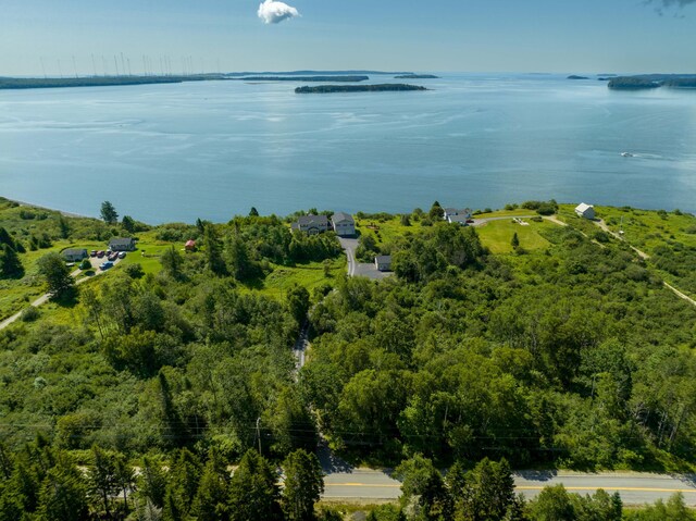841 Cutler Rd, Machiasport, ME 04655 - photo 122
