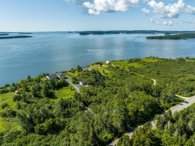841 Cutler Rd, Machiasport, ME 04655 - photo 123