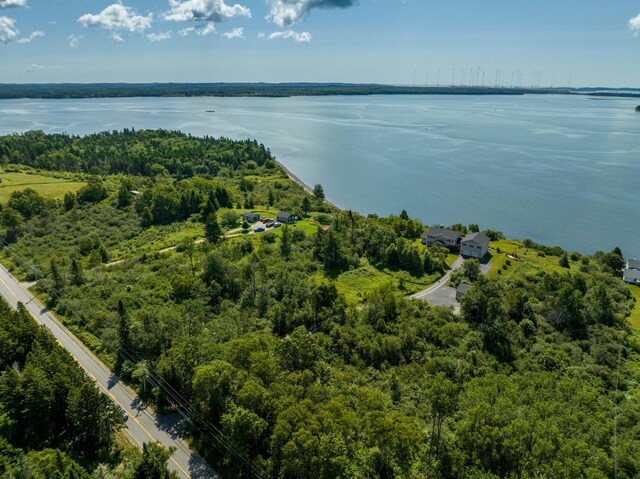 841 Cutler Rd, Machiasport, ME 04655 - photo 124
