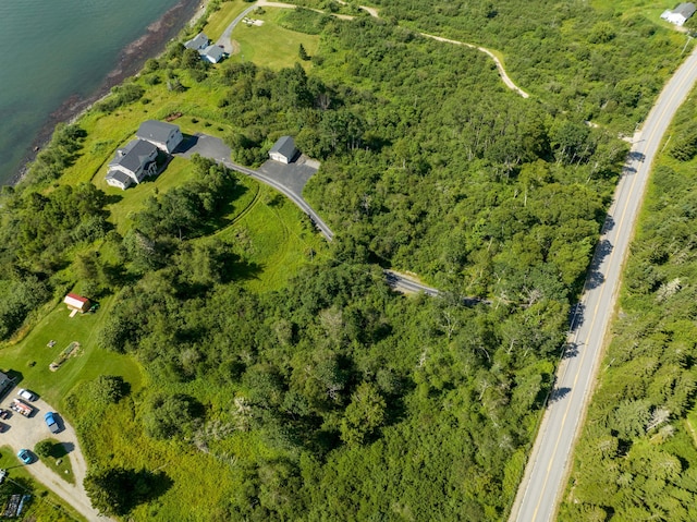 841 Cutler Rd, Machiasport, ME 04655 - photo 128