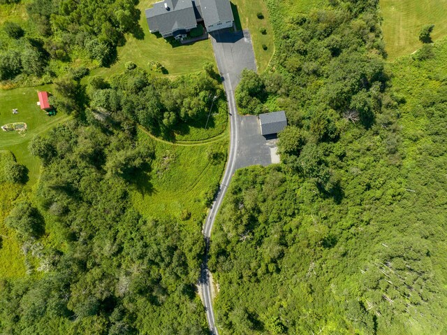 841 Cutler Rd, Machiasport, ME 04655 - photo 131