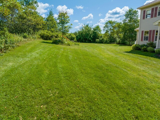 841 Cutler Rd, Machiasport, ME 04655 - photo 137