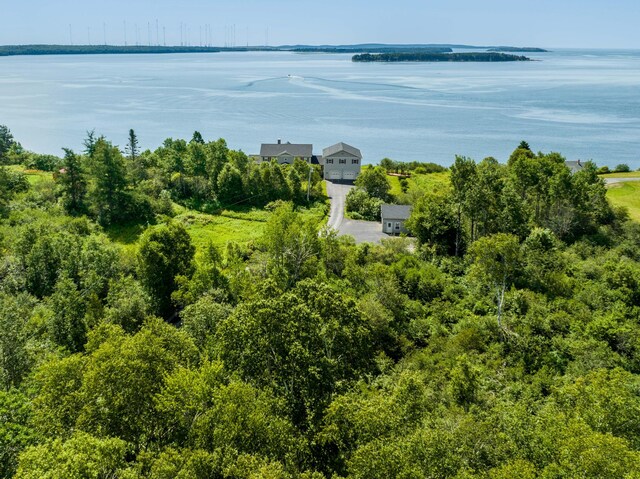 841 Cutler Rd, Machiasport, ME 04655 - photo 138