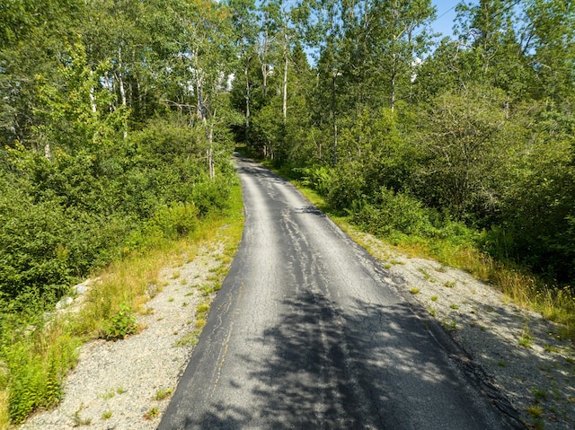 841 Cutler Rd, Machiasport, ME 04655 - photo 154