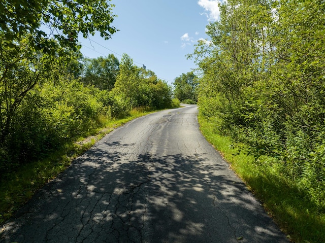 841 Cutler Rd, Machiasport, ME 04655 - photo 155