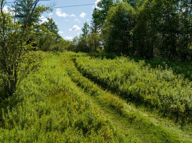 841 Cutler Rd, Machiasport, ME 04655 - photo 156