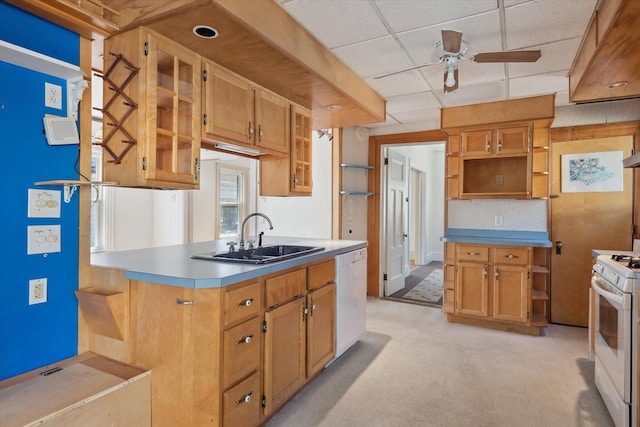 kitchen with open shelves, a sink, white appliances, a ceiling fan, and a paneled ceiling