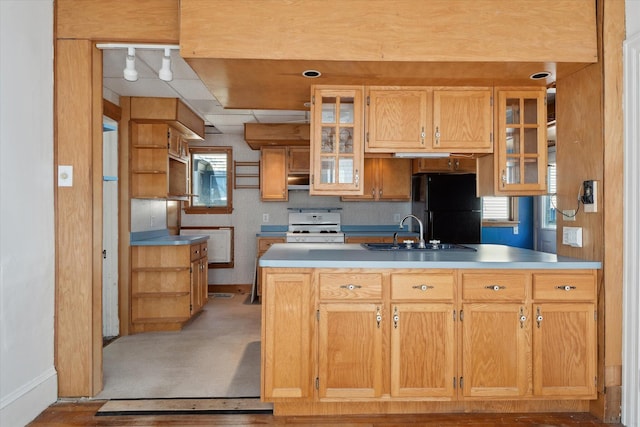 kitchen featuring a sink, white range with gas cooktop, freestanding refrigerator, open shelves, and glass insert cabinets